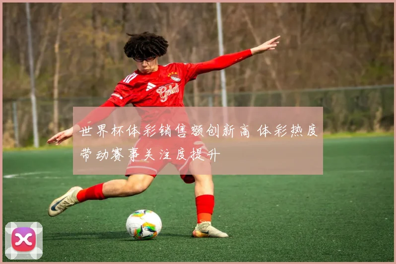 世界杯体彩销售额创新高 体彩热度带动赛事关注度提升